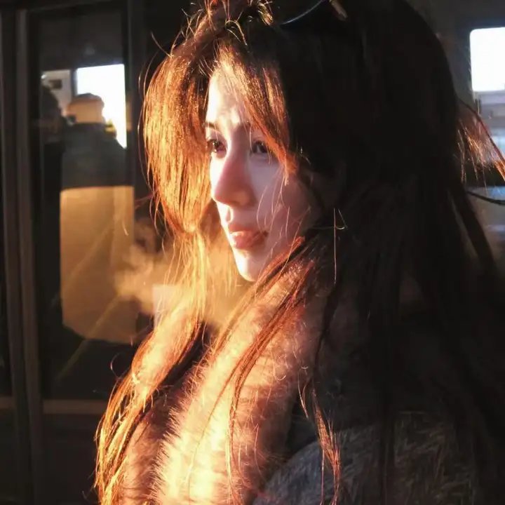 梅花档案